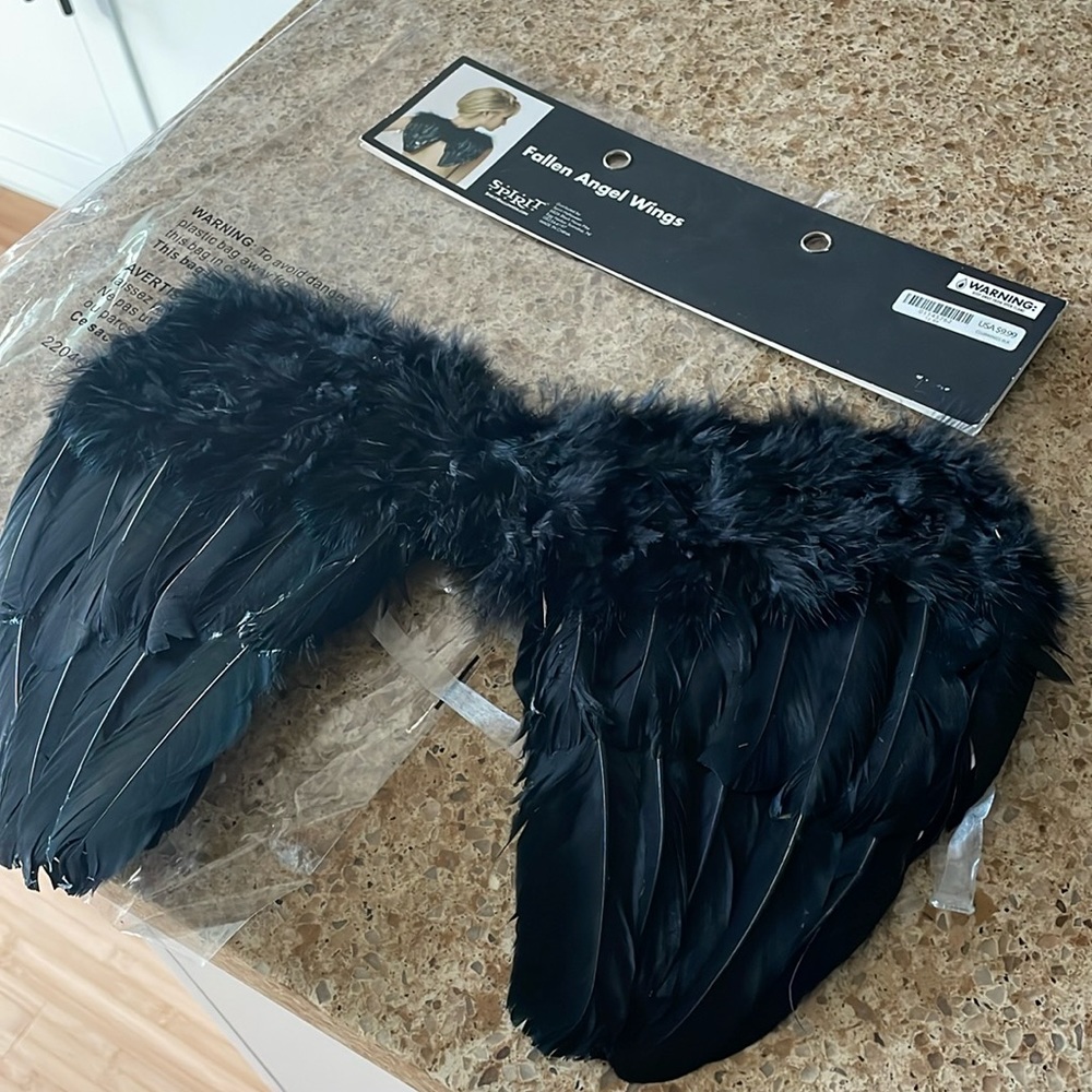 Fallen Angel Wings